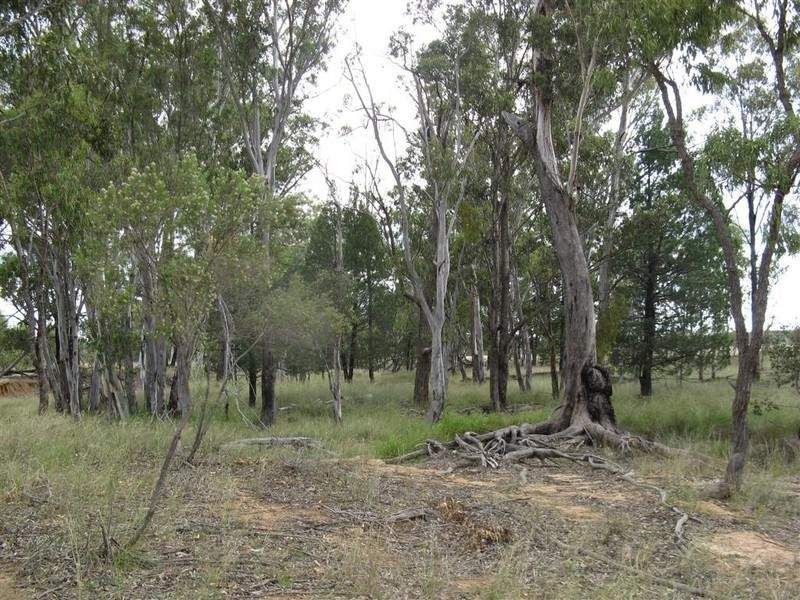 Leyburn QLD 4365