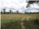Leyburn QLD 4365