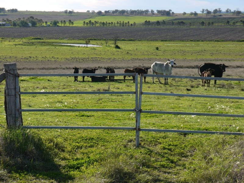 Lot 77 Freestone Road, Freestone QLD 4370