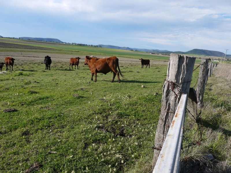 Lot 77 Freestone Road, Freestone QLD 4370