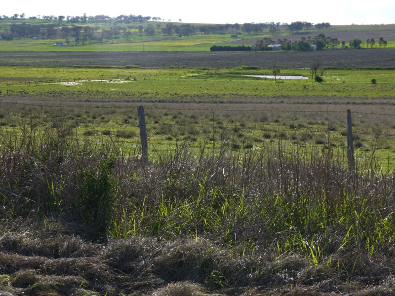 Lot 77 Freestone Road, Freestone QLD 4370