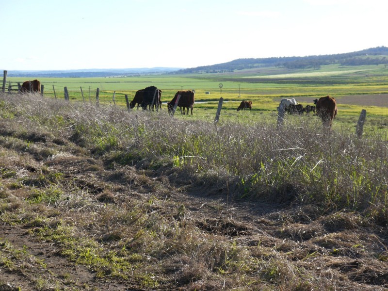 Lot 77 Freestone Road, Freestone QLD 4370