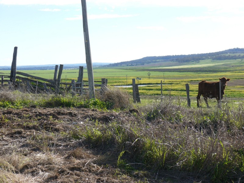 Lot 77 Freestone Road, Freestone QLD 4370