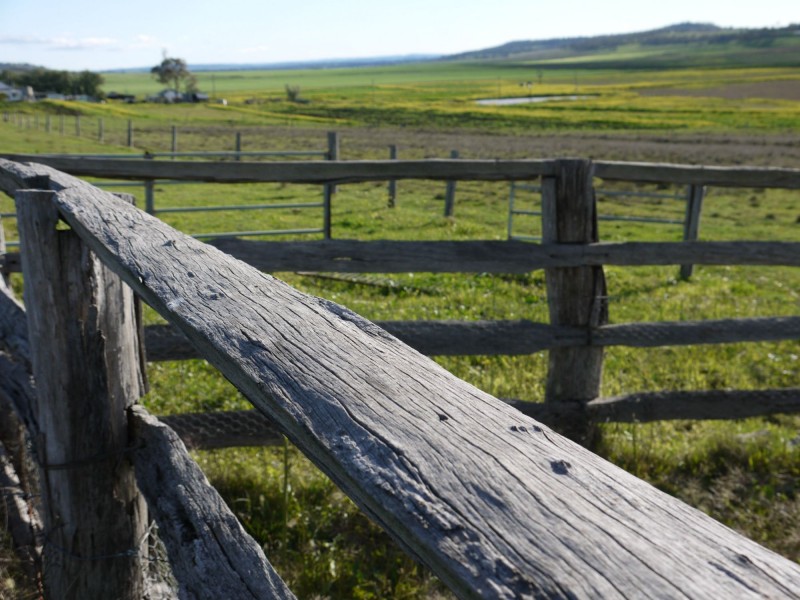 Lot 77 Freestone Road, Freestone QLD 4370