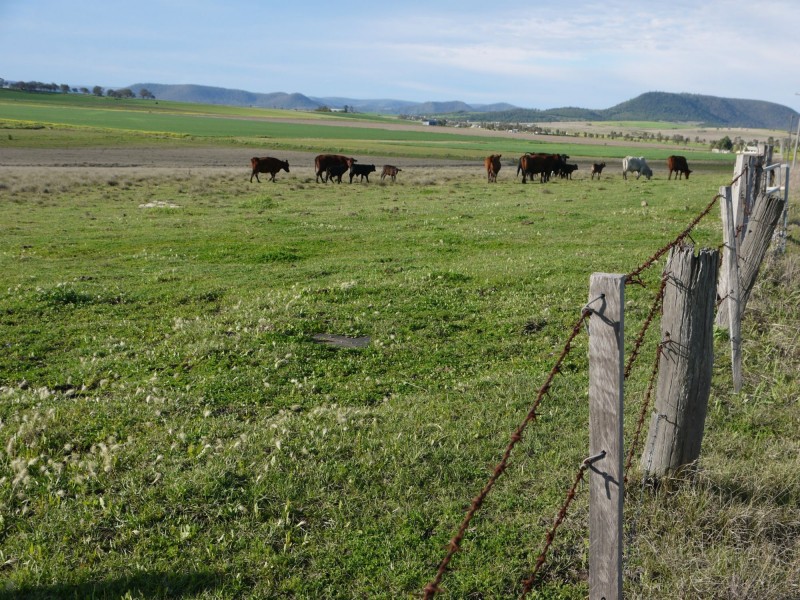 Lot 77 Freestone Road, Freestone QLD 4370