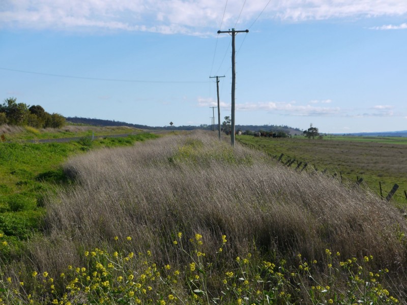 Lot 77 Freestone Road, Freestone QLD 4370