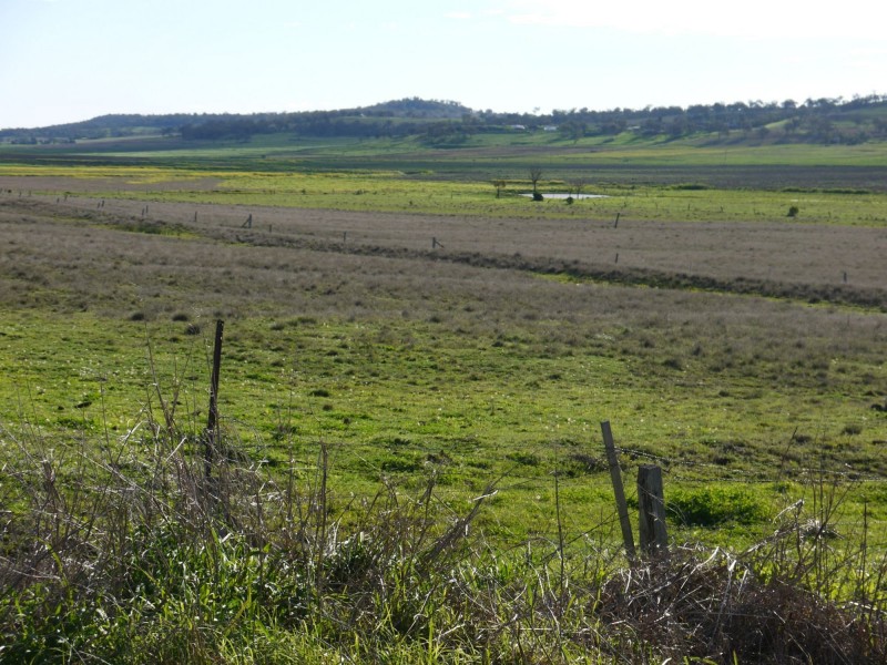 Lot 77 Freestone Road, Freestone QLD 4370