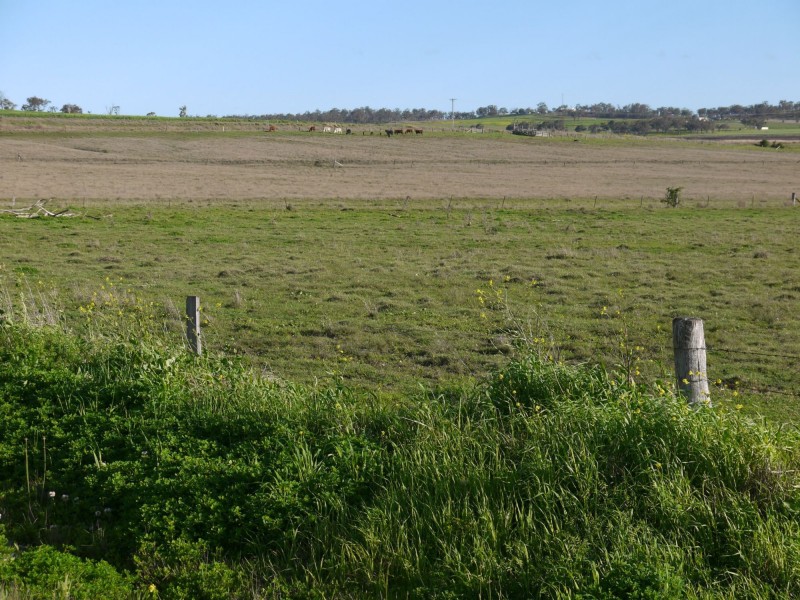 Lot 77 Freestone Road, Freestone QLD 4370