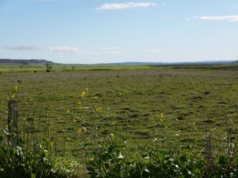 Lot 77 Freestone Road, Freestone QLD 4370