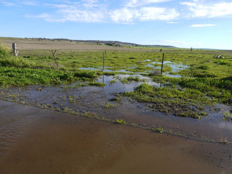 Lot 77 Freestone Road, Freestone QLD 4370