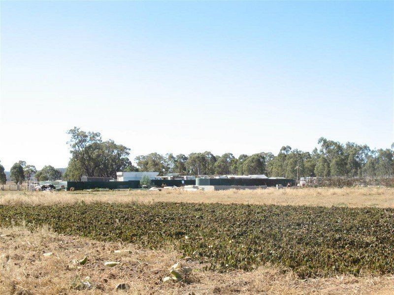 Warwick QLD 4370