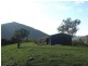 L1 Glenrock Road, Bonshaw NSW 2361