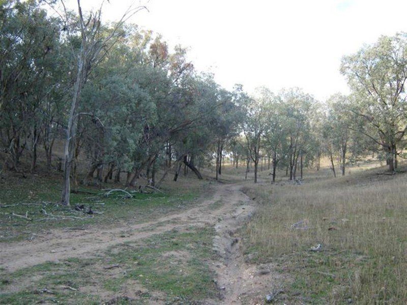 L1 Glenrock Road, Bonshaw NSW 2361