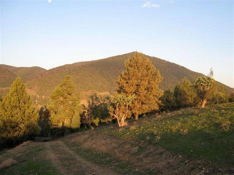 L1 Glenrock Road, Bonshaw NSW 2361