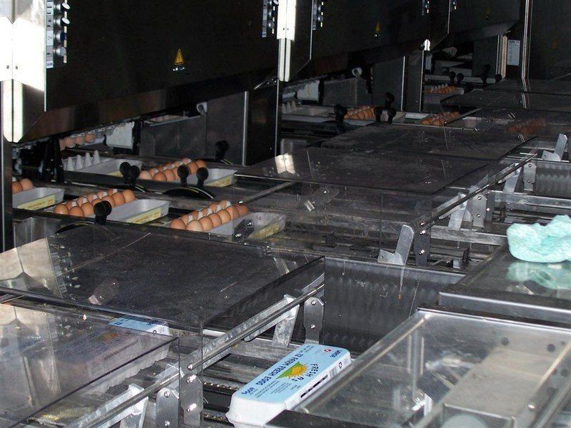 L344 Canningvale Road, Warwick QLD 4370