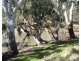 Lot 1 Condamine River Road, Pratten QLD 4370
