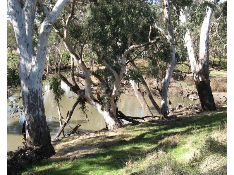 Lot 1 Condamine River Road, Pratten QLD 4370