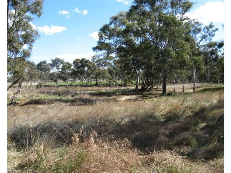 Lot 1 Condamine River Road, Pratten QLD 4370