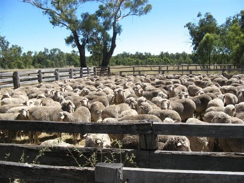 Lot 36 Tin Hut Road, Inglewood QLD 4387