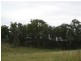 Lot 36 Tin Hut Road, Inglewood QLD 4387