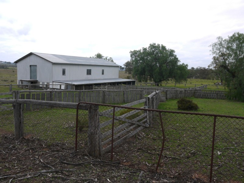 520 Hollybank Road, Inglewood QLD 4387