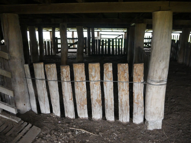 520 Hollybank Road, Inglewood QLD 4387