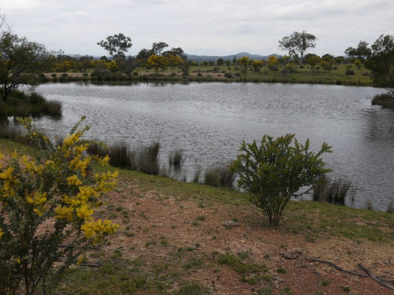 520 Hollybank Road, Inglewood QLD 4387