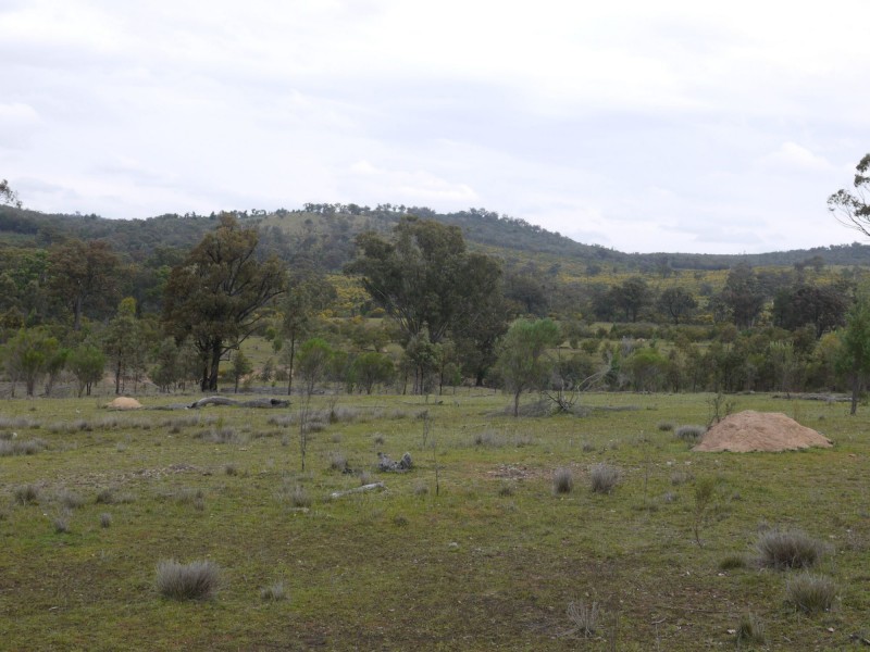 520 Hollybank Road, Inglewood QLD 4387