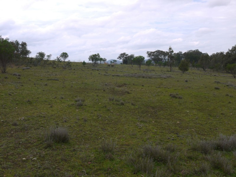 520 Hollybank Road, Inglewood QLD 4387