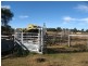 Texas QLD 4385
