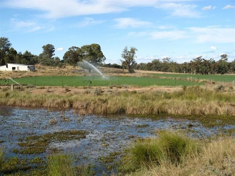 Texas QLD 4385