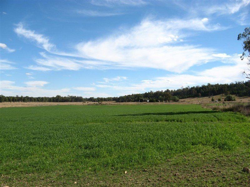 Texas QLD 4385