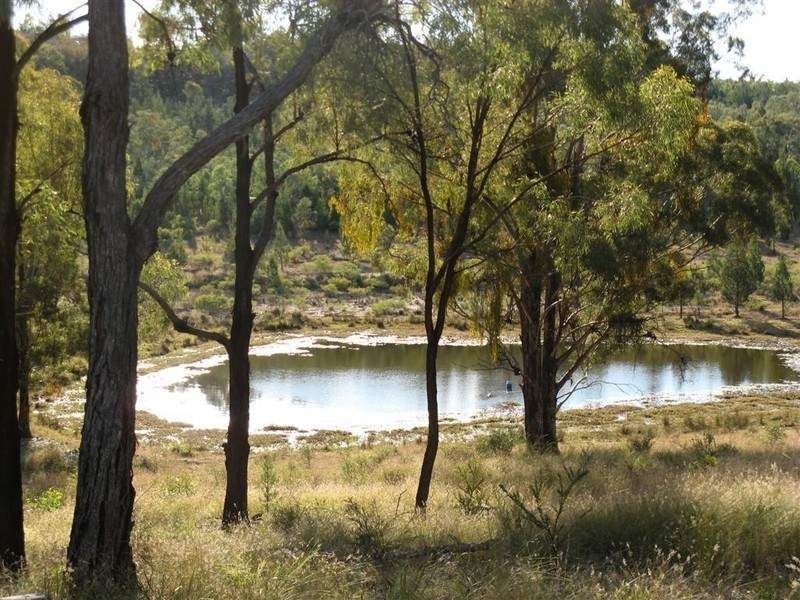 Texas QLD 4385