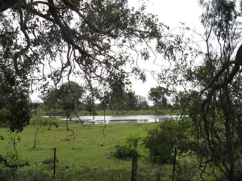 Warwick QLD 4370