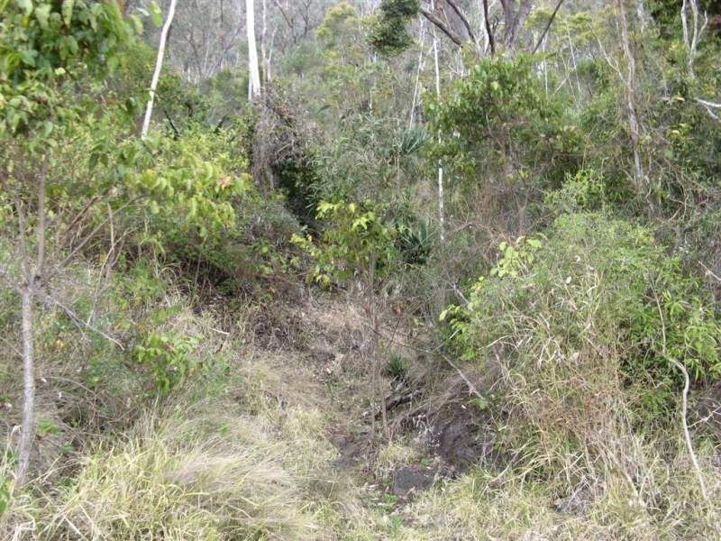Warwick QLD 4370