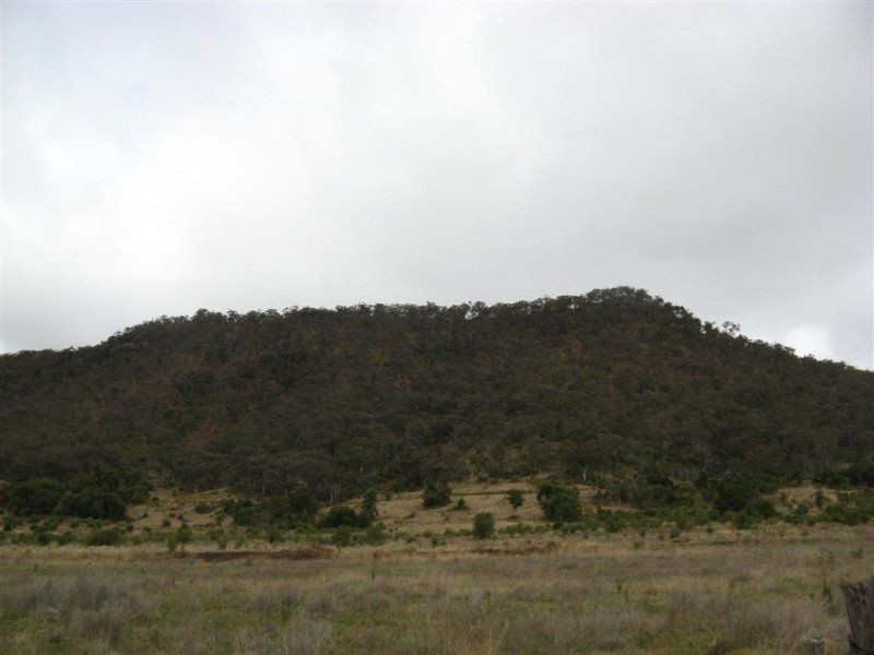 Warwick QLD 4370