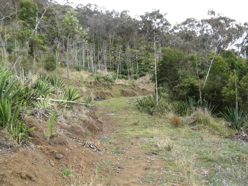 Warwick QLD 4370