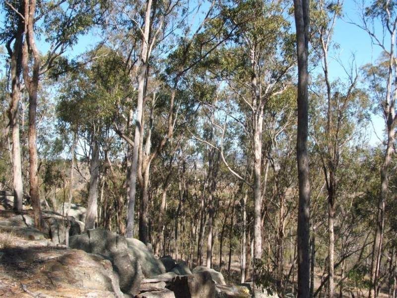 Warwick QLD 4370