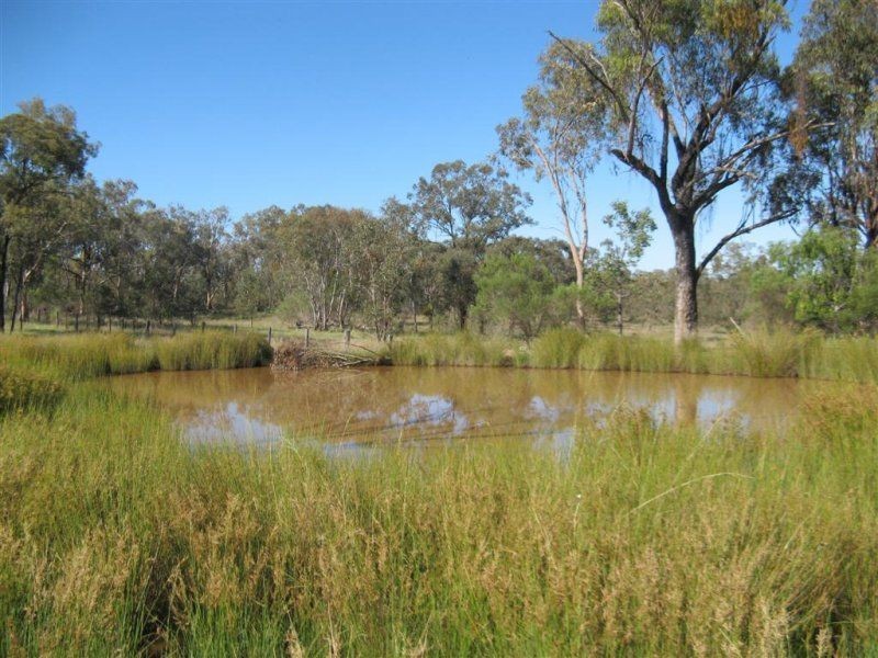 Warwick QLD 4370