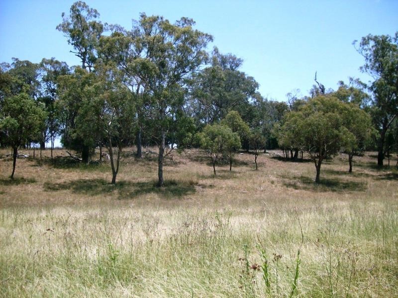Warwick QLD 4370