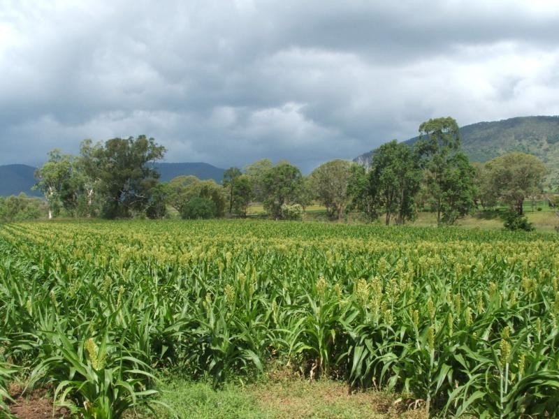 Warwick QLD 4370