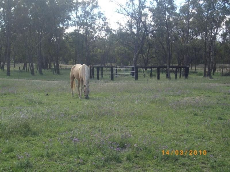 Warwick QLD 4370