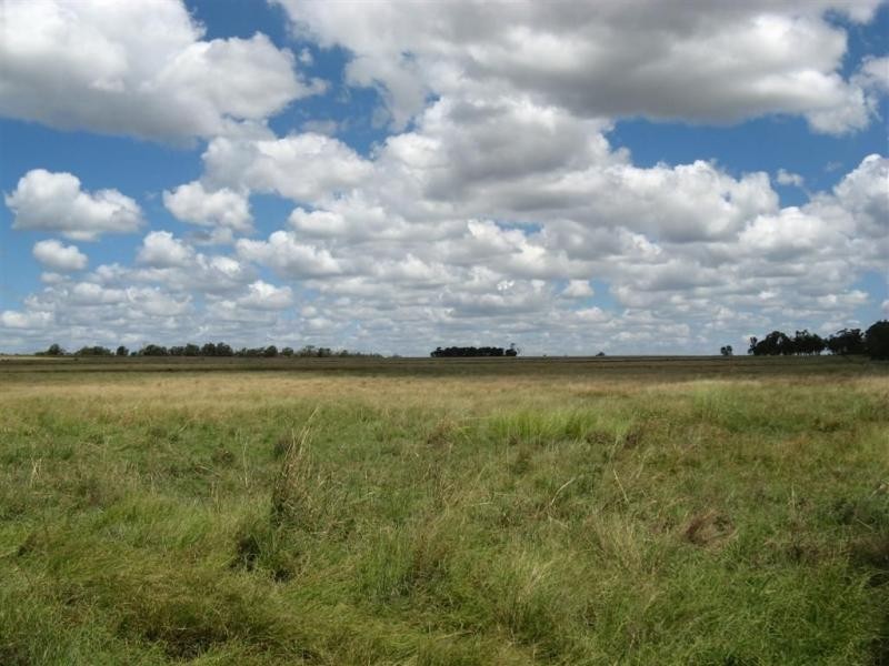 Millmerran QLD 4357