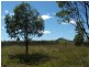 Clifton QLD 4361