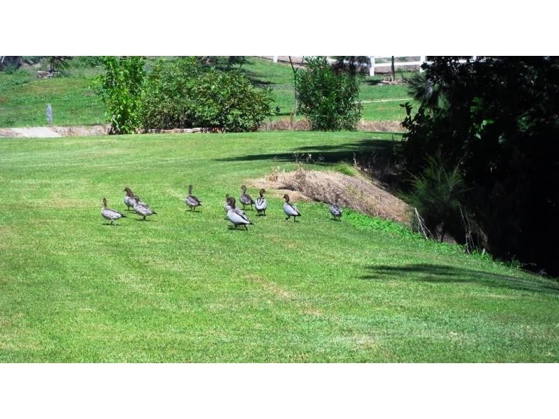 Killarney QLD 4373