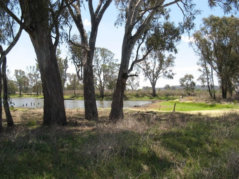 Lot 64 Seibel Lane, Pratten QLD 4370