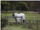 Tenterfield NSW 2372
