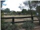 Tenterfield NSW 2372