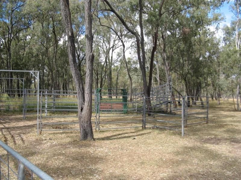 Clifton QLD 4361