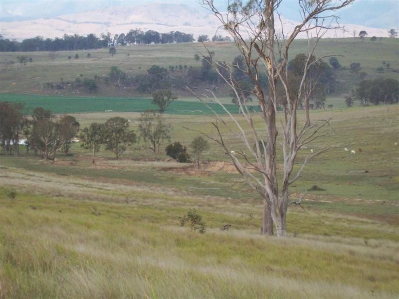 Warwick QLD 4370